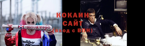 сатива Волоколамск