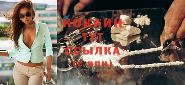 сатива Волоколамск