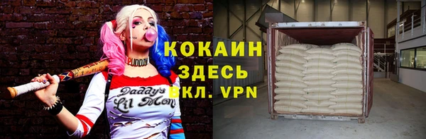 сатива Волоколамск
