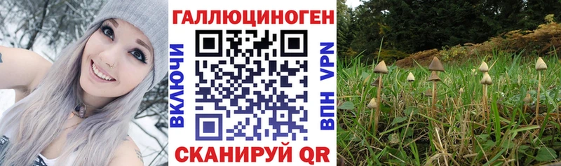 ссылка на мегу ССЫЛКА  Инсар  Галлюциногенные грибы мухоморы 
